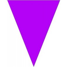 Bunting Purple 10m & 15 Flags