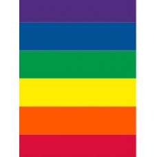 Bunting Rainbow 10m x 15 Flags