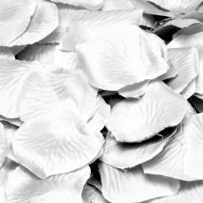 Confetti Rose Petal Deluxe White 144