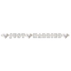Bunting Just Married Letter Banner