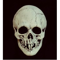 Mask Head Night Owl Skull Black & White